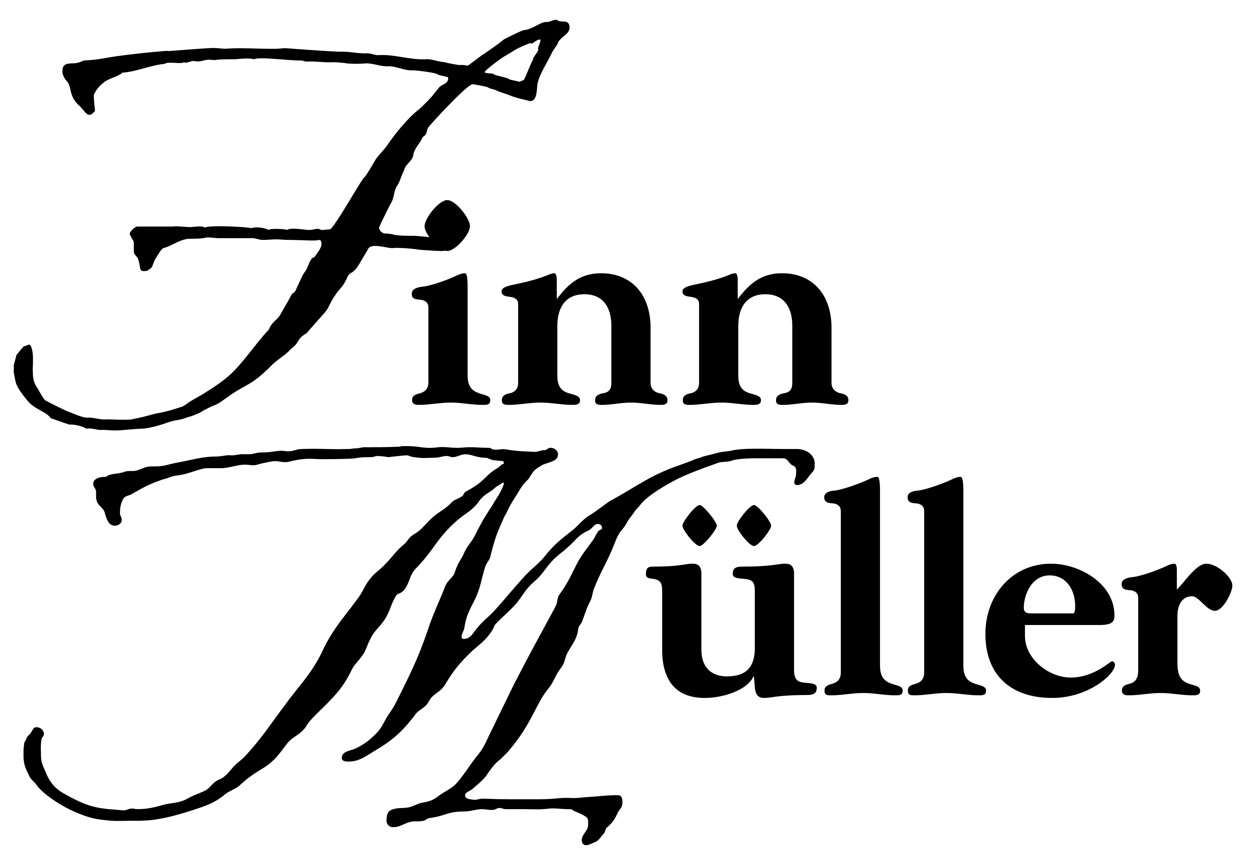 finnmüller.ch
